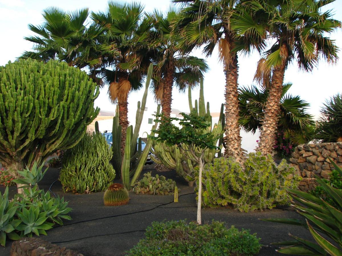 Casa Para Ti - Botanica Puerto del Carmen  Kültér fotó